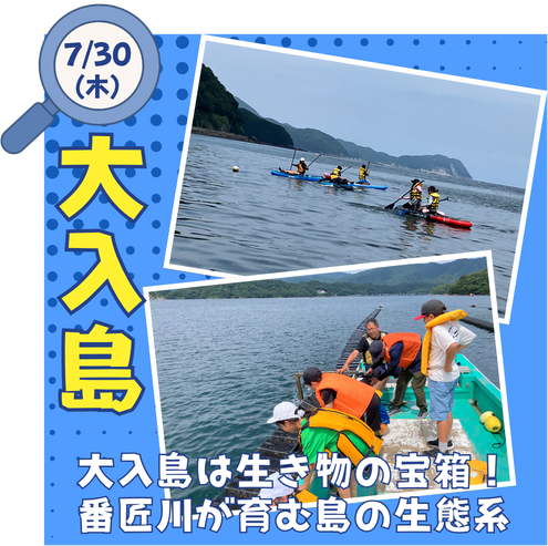 大入島
